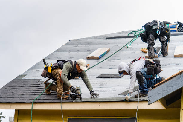 Professional Gutter Installation technician working in Hampshire, IL
